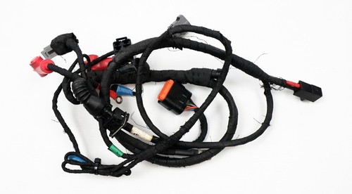 Rotax max evo kart - max, kabelbaum